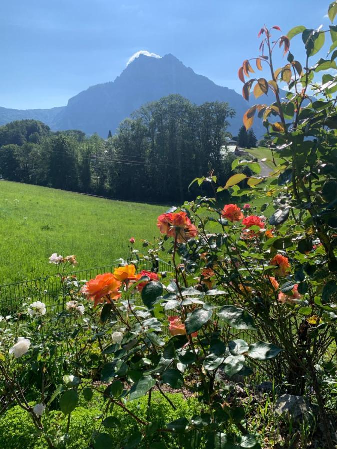 Kainzleitenhof Nachdemsee Kültér fotó