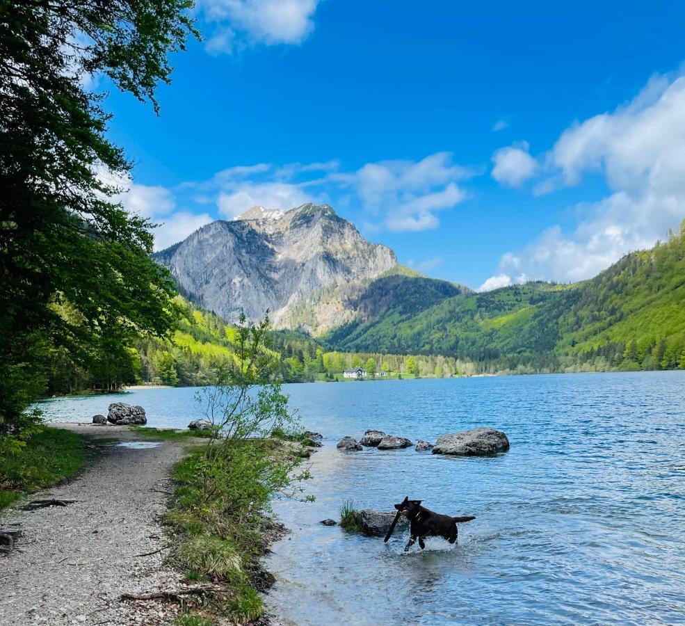 Kainzleitenhof Nachdemsee Kültér fotó